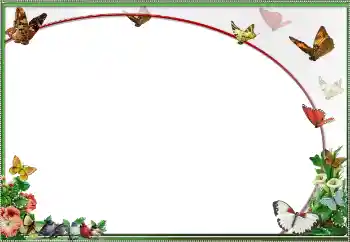 Efekt zdjęciowy z kategorii Różne № 25484