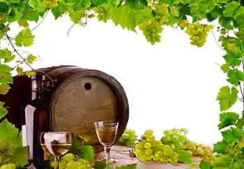 Efekt zdjęciowy z kategorii Różne № 26443