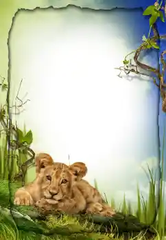 Efekt zdjęciowy z kategorii Różne № 26572