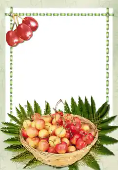 Efekt zdjęciowy z kategorii Różne № 2657