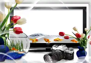 Efekt zdjęciowy z kategorii Różne № 26669