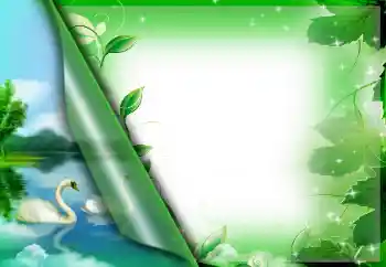 Efekt zdjęciowy z kategorii Różne № 26723