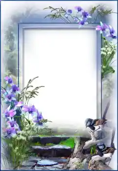 Efekt zdjęciowy z kategorii Różne № 27695