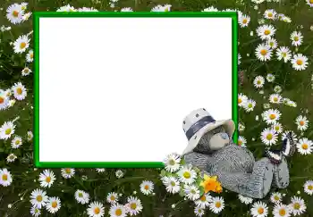 Efekt zdjęciowy z kategorii Różne № 2893