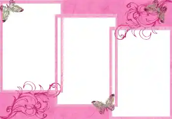 Efekt zdjęciowy z kategorii Różne № 2916