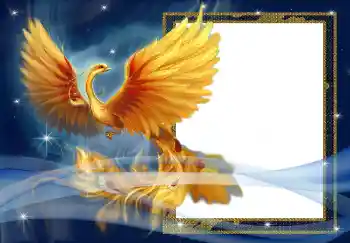 Efekt zdjęciowy z kategorii Różne № 3018