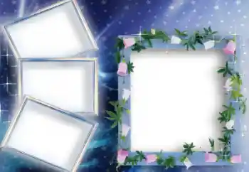 Efekt zdjęciowy z kategorii Różne № 31709