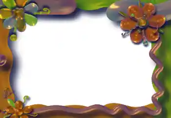 Efekt zdjęciowy z kategorii Różne № 31769