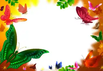 Efekt zdjęciowy z kategorii Różne № 31849