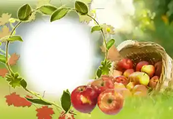 Efekt zdjęciowy z kategorii Różne № 34029