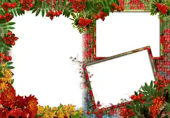 Efekt zdjęciowy z kategorii Różne № 3413