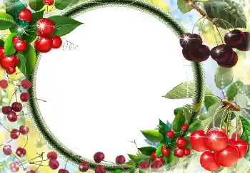 Efekt zdjęciowy z kategorii Różne № 3416