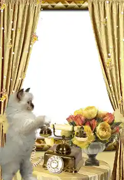 Efekt zdjęciowy z kategorii Różne № 3419