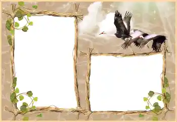 Efekt zdjęciowy z kategorii Różne № 3430