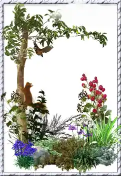 Efekt zdjęciowy z kategorii Różne № 34798