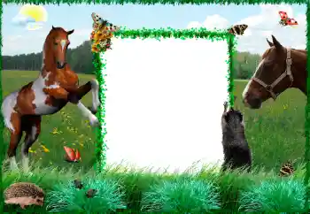 Efekt zdjęciowy z kategorii Różne № 34915