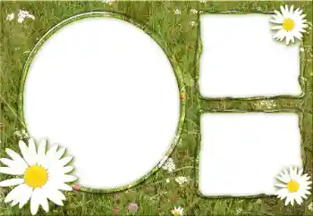 Efekt zdjęciowy z kategorii Różne № 34932