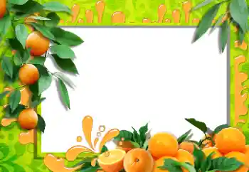 Efekt zdjęciowy z kategorii Różne № 36215