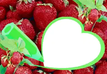 Efekt zdjęciowy z kategorii Różne № 36225