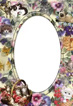 Efekt zdjęciowy z kategorii Różne № 3702