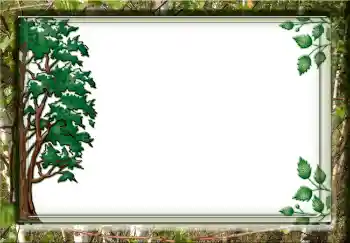 Efekt zdjęciowy z kategorii Różne № 3732