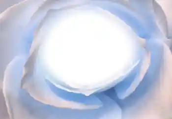 Efekt zdjęciowy z kategorii Różne № 38328