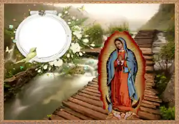 Efekt zdjęciowy z kategorii Różne № 38479