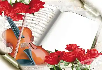 Efekt zdjęciowy z kategorii Różne № 38533