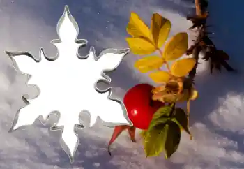 Efekt zdjęciowy z kategorii Różne № 38548