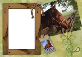 Efekt zdjęciowy z kategorii Różne № 38802