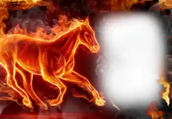 Efekt zdjęciowy z kategorii Różne № 38848