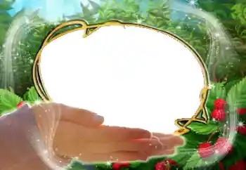 Efekt zdjęciowy z kategorii Różne № 38900