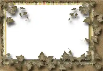 Efekt zdjęciowy z kategorii Różne № 39069