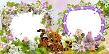 Efekt zdjęciowy z kategorii Różne № 39171