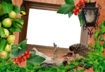 Efekt zdjęciowy z kategorii Różne № 39216