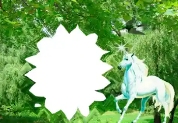 Efekt zdjęciowy z kategorii Różne № 40438