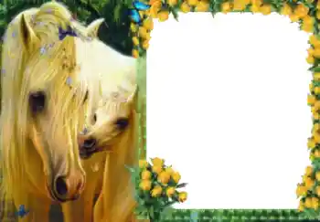 Efekt zdjęciowy z kategorii Różne № 40511