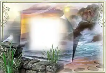 Efekt zdjęciowy z kategorii Różne № 42524