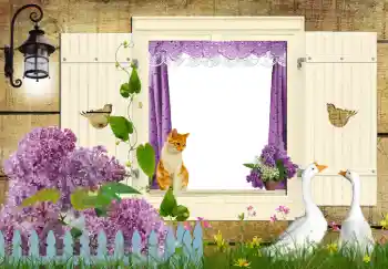 Efekt zdjęciowy z kategorii Różne № 42597