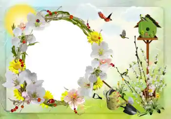 Efekt zdjęciowy z kategorii Różne № 42598