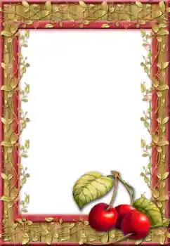 Efekt zdjęciowy z kategorii Różne № 43646