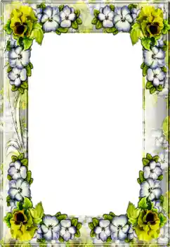 Efekt zdjęciowy z kategorii Różne № 4367