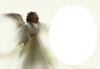 Efekt zdjęciowy z kategorii Różne № 4541