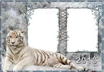 Efekt zdjęciowy z kategorii Różne № 45917