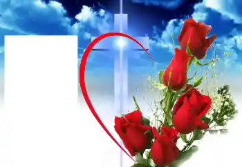 Efekt zdjęciowy z kategorii Różne № 46964