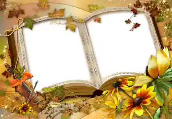 Efekt zdjęciowy z kategorii Różne № 47137