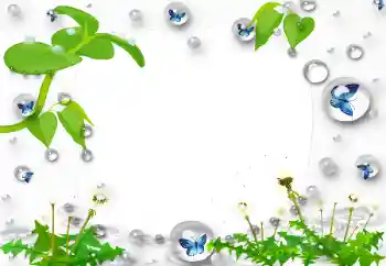 Efekt zdjęciowy z kategorii Różne № 47168