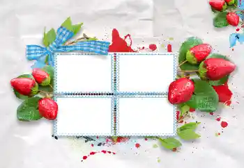 Efekt zdjęciowy z kategorii Różne № 47209