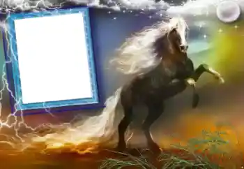 Efekt zdjęciowy z kategorii Różne № 47248