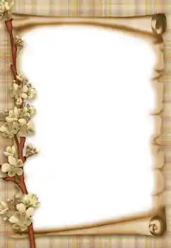 Efekt zdjęciowy z kategorii Różne № 47303